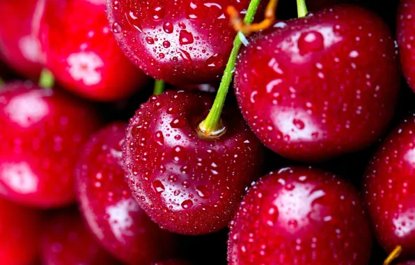 Picture cherry, berries, cherry