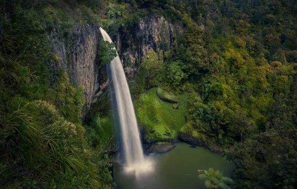 Picture forest, rock, river, waterfall, stream, New Zealand, New Zealand, Waikato, Waikato, Bridal Veil Falls, River …