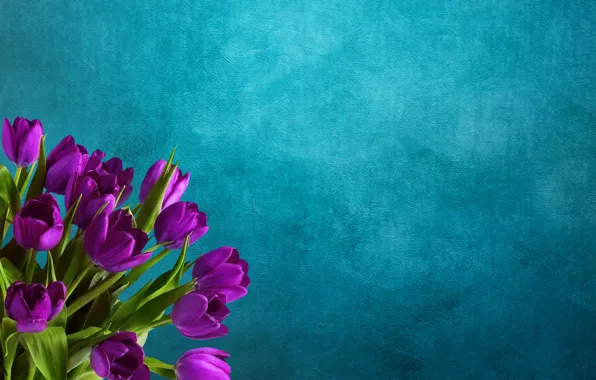 Picture flowers, background, bouquet, tulips