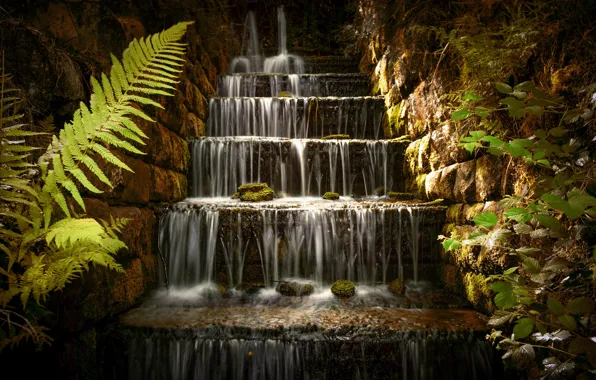 Picture waterfall, ladder, fern, cascade
