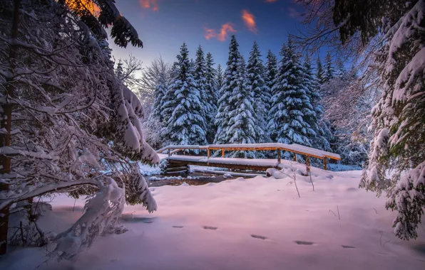 Picture winter, snow, trees, landscape, nature, ate, the bridge, river