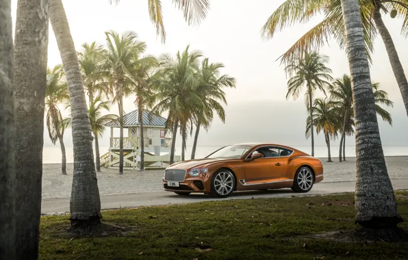 Picture machine, beach, palm trees, coupe, Bentley, Continental, GT V8