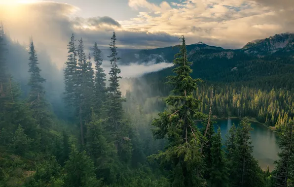 Picture forest, clouds, mountains, fog, lake, view, height, dal, morning, ate, pond