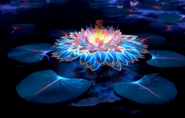 Picture flower, water, light, neon