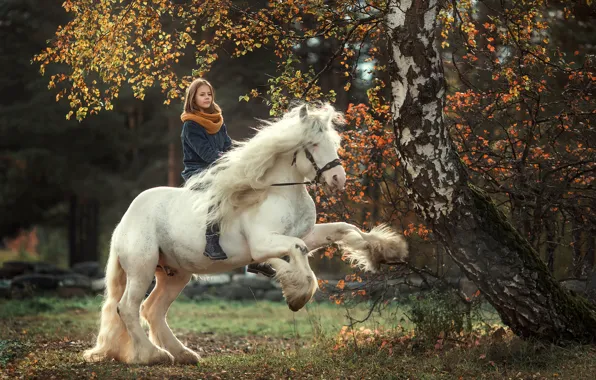 Picture autumn, white, horse, horse, girl, white, horse