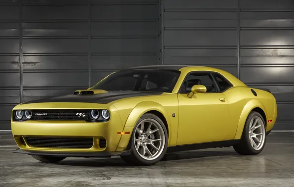 Picture Dodge, Challenger, 50th Anniversary Edition, 2019