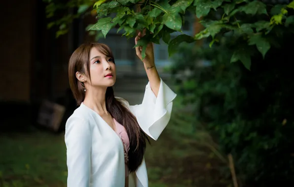 Picture leaves, girl, branches, Asian, bokeh