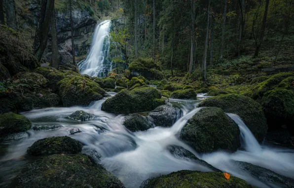 Picture forest, river, stones, waterfall, moss, Austria, cascade, Austria, Salzburg, Salzburg, Golling Waterfall, Black Brook Creek, …