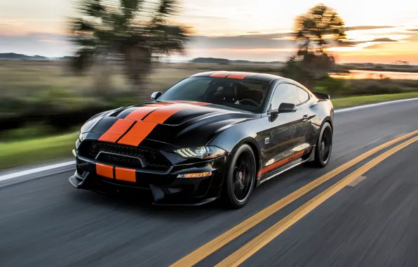 Picture sunset, speed, Mustang, Ford, Shelby, GT-S, 2019