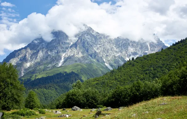 Picture landscape, mountains, nature, mountain, Georgia, The Caucasus, Ushba, местия