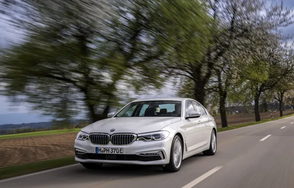 Picture white, trees, BMW, sedan, roadside, hybrid, 5, four-door, 2017, 5-series, G30, 530e iPerformance