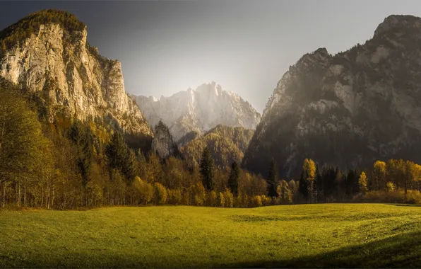 Picture field, autumn, forest, grass, light, mountains, rocks, glade, tops, Austria, Alps, haze, lawn, autumn nature