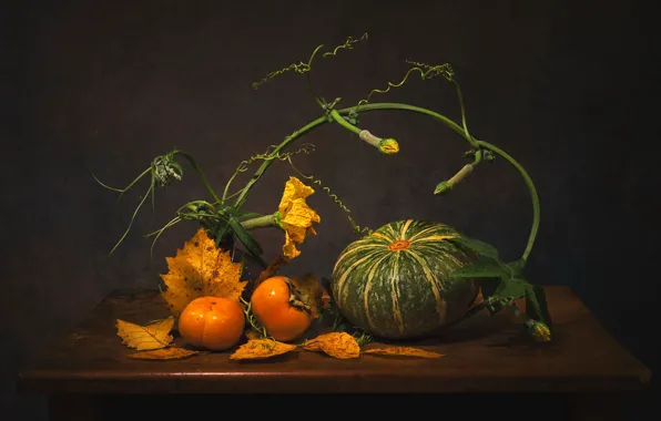 Picture leaves, table, stem, harvest, pumpkin, still life, persimmon, autumn leaves