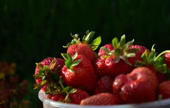 Picture berries, the dark background, strawberry, bowl, bokeh