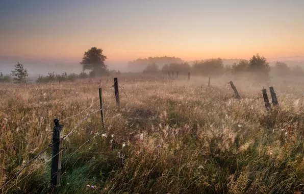 Picture field, summer, sunset, fog, the fence