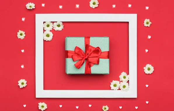Picture flowers, red, squares, background, holiday, box, gift, color, chamomile, frame, hearts, white, bow, chrysanthemum, congratulations, …