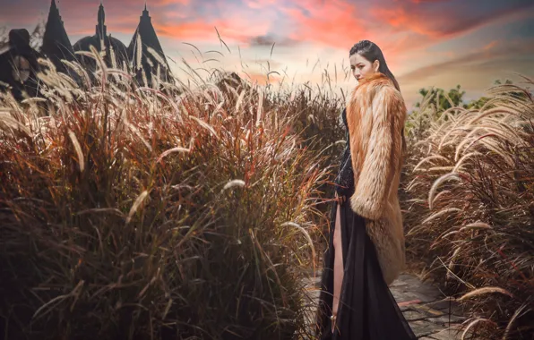 Picture girl, sunset, coat, Asian, tall grass, пеннисетум