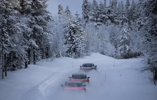 Picture forest, snow, movement, Porsche, back, 2020, Taycan, Taycan 4S