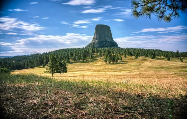 Picture mountain, stump, Devils Tower