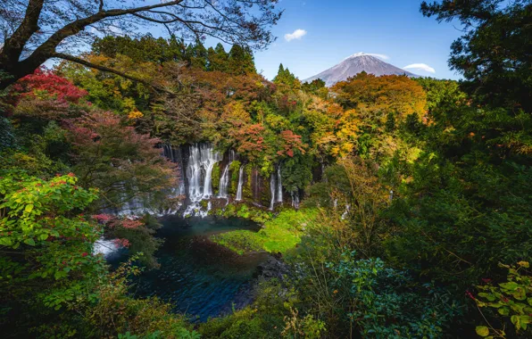Picture autumn, forest, trees, river, waterfall, Japan, Japan, cascade, Fujinomiya, Fujinomiya, Shiraito Falls, Shiraito Falls, Fuji-Hakone-Izu …