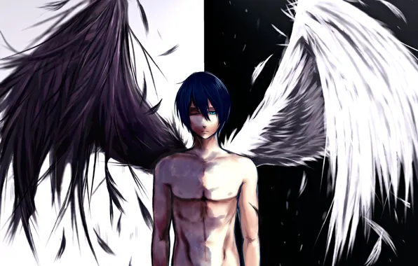 Picture wings, angel, A Homeless God, Noragami, Yato