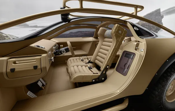 Picture Mercedes-Benz, interior, the concept car, the interior of the car, Project Maybach