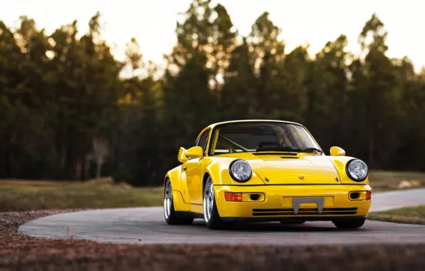 Picture Auto, Yellow, 911, Porsche, Machine, Porsche 911, Carrera, RSR, 1993, The front, Porsche 911 Carrera, …