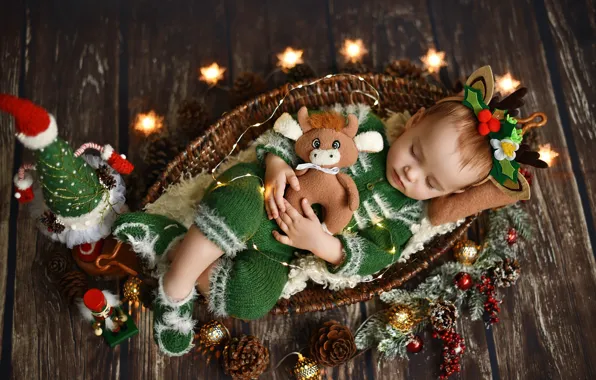 Picture branches, holiday, basket, toys, new year, sleep, Christmas, spruce, bumps, child, baby, Anastasia Alekseeva