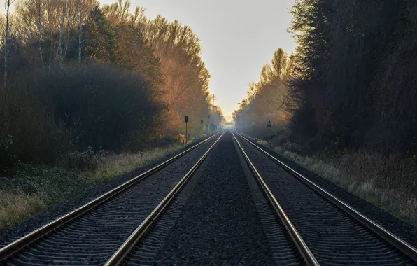 Picture nature, fog, railroad