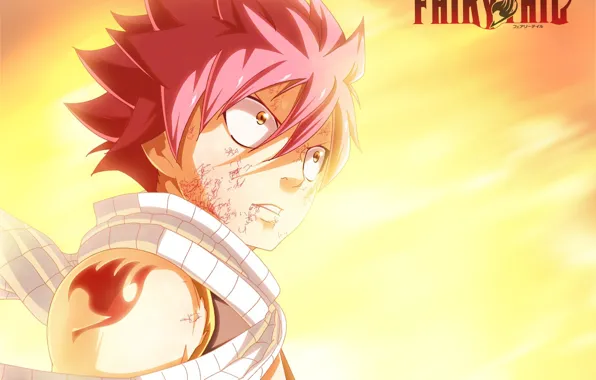 Picture guy, Fairy Tail, Natsu Dragneel, Fairy tail