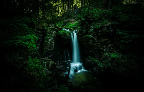 Picture forest, the dark background, stones, waterfall