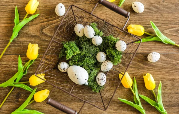 Picture flowers, holiday, Board, moss, eggs, spring, yellow, Easter, tulips, white, basket, composition, quail