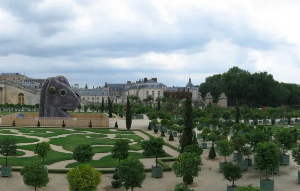 Picture France, panorama, Palace, greenhouse, Versailles