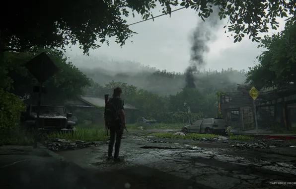 Picture trees, machine, the game, smoke, game, action, The Last of Us, adventure, action-adventure, 2019