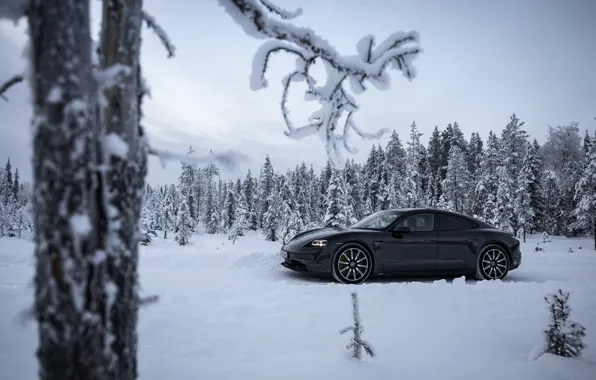 Picture road, snow, trees, black, branch, Porsche, 2020, Taycan, Taycan 4S