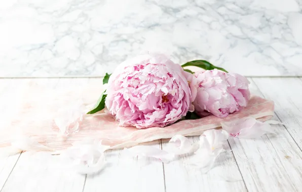Picture flowers, Board, bouquet, petals, fabric, lies, pink, light background, peonies, peony, composition