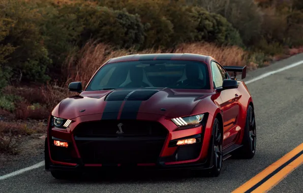 Picture vegetation, Mustang, Ford, Shelby, GT500, bloody, 2019