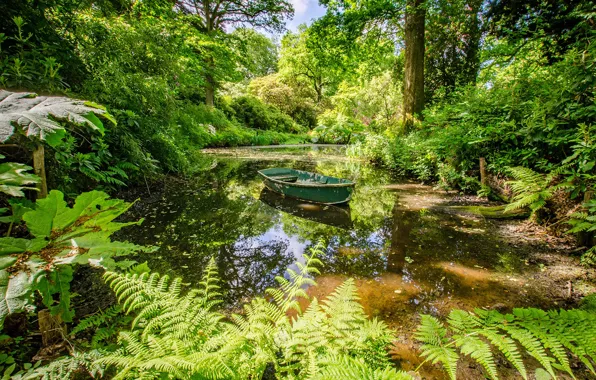 Picture greens, the sun, trees, pond, Park, boat, England, the bushes, Surrey, Ramster Gardens