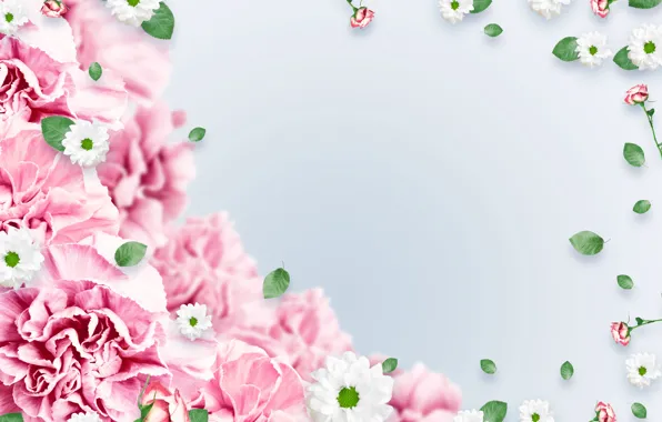 Picture flowers, background, pink, leaves