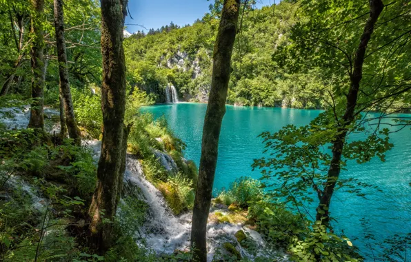 Picture forest, landscape, nature, lake, waterfall