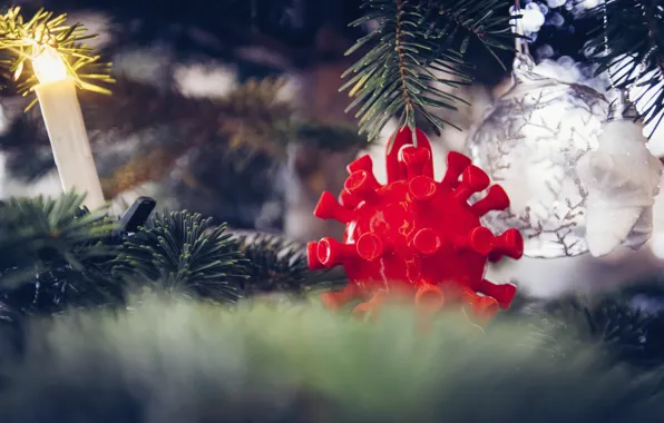 Picture branches, red, holiday, candle, blur, ball, spikes, Christmas, New year, tree, virus, needles, hanging, bokeh, …