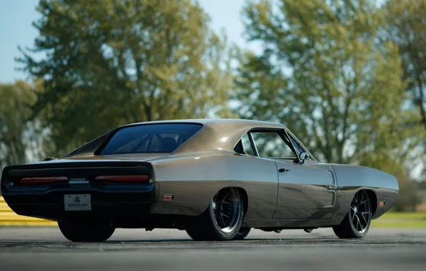Picture Tuning, Evolution, 1970, Dodge Charger, back, Muscle, Speedkore