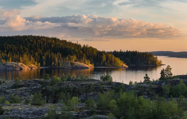 Picture landscape, nature, lake, stones, forest, Lake Ladoga, Karelia, Ladoga, Skerries