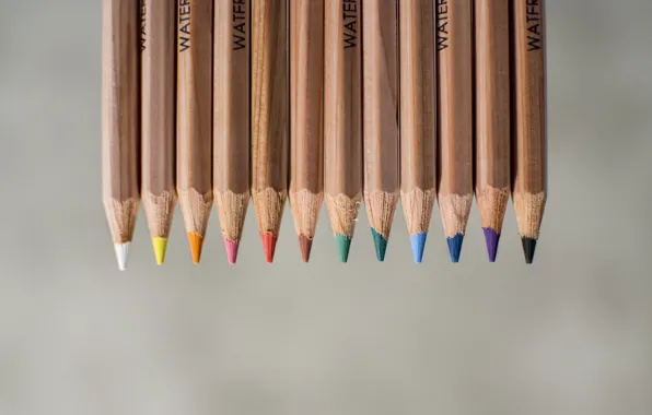 Picture background, color, pencils