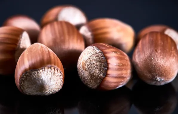Picture macro, background, nuts