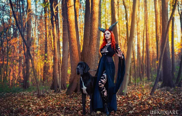 Picture forest, girl, light, nature, pose, style, dog, makeup, costume, outfit, image, in black, cosplay, Wikingart, …