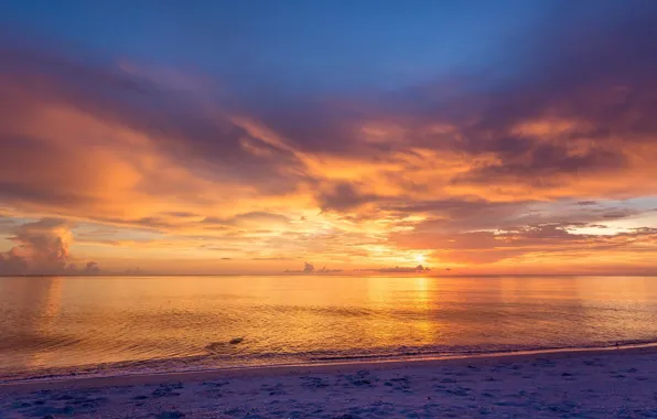 Picture USA, beach, twilight, sky, sea, landscape, nature, sunset, water, clouds, sand, Florida