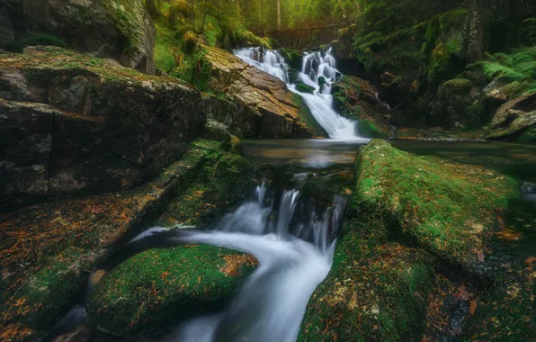 Picture river, stones, waterfall, moss, cascade