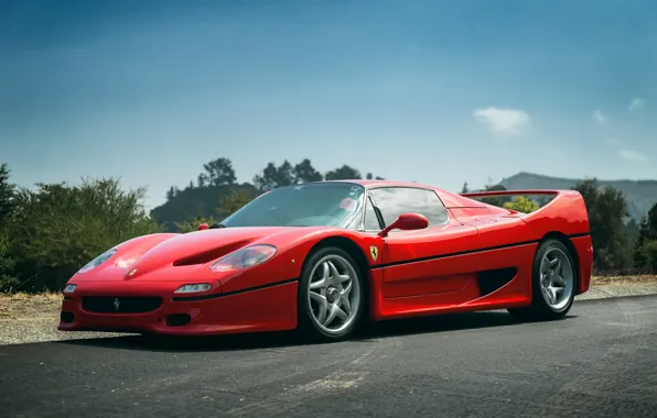 Picture Ferrari, Red, F50