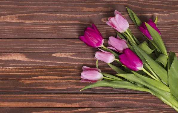 Picture flowers, colorful, tulips, pink, wood, pink, flowers, tulips, spring, purple